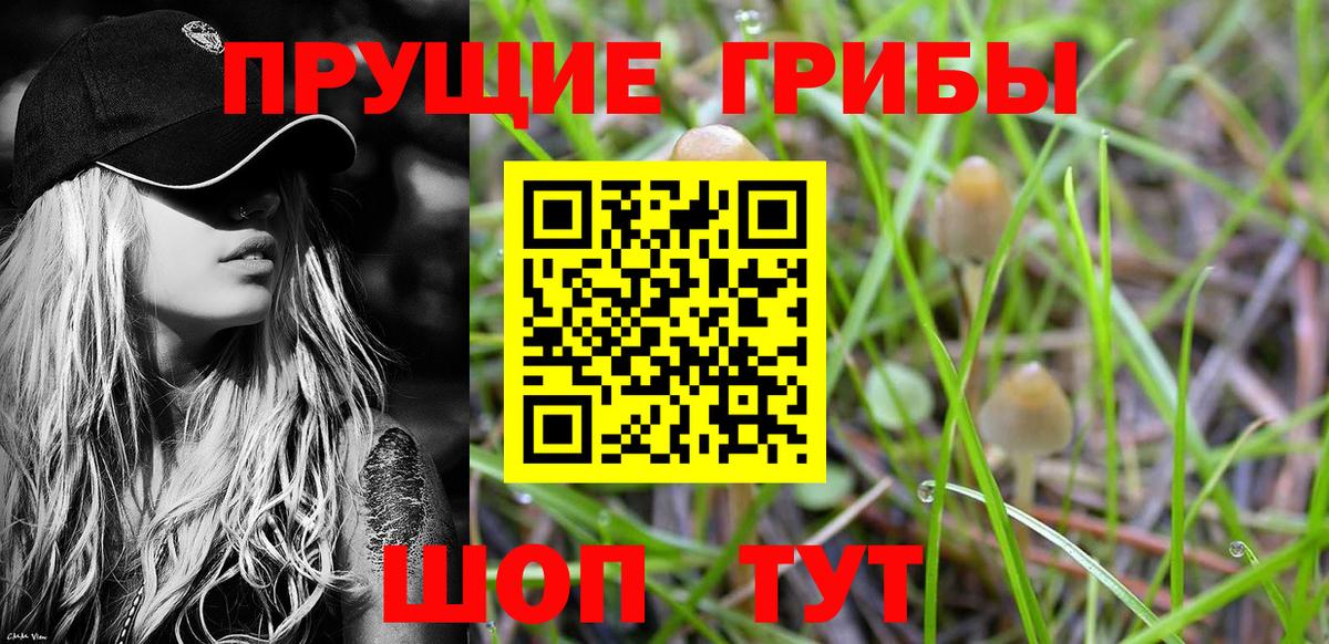 Псилоцибиновые грибы прущие грибы  Вход с VPN  Мурманск 